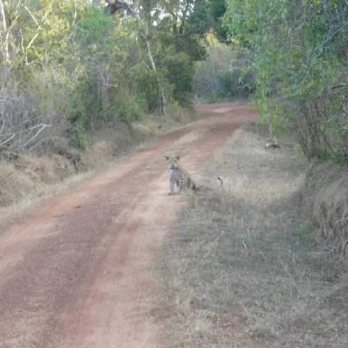 Sri Lanka