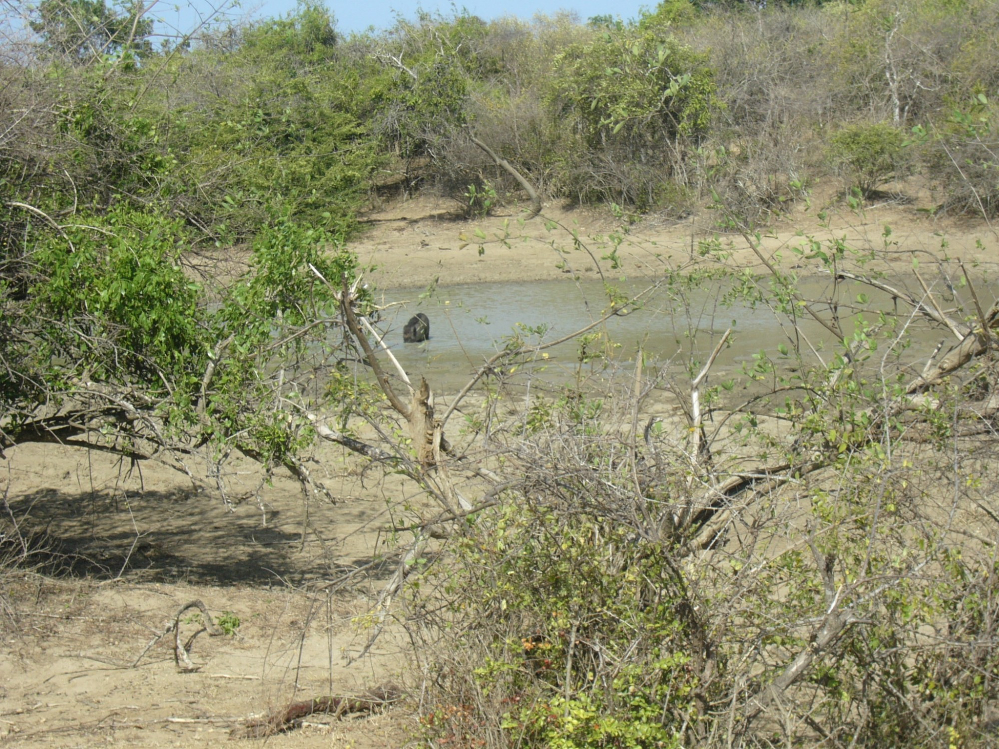 Sri Lanka