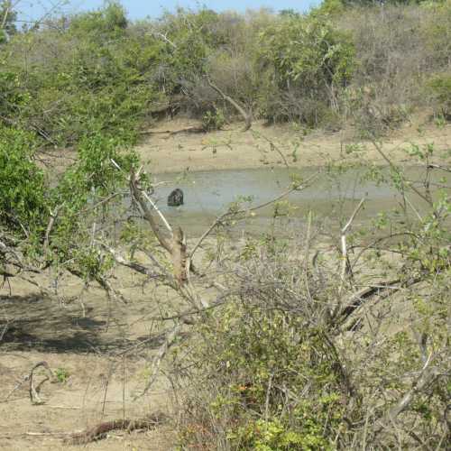 Sri Lanka