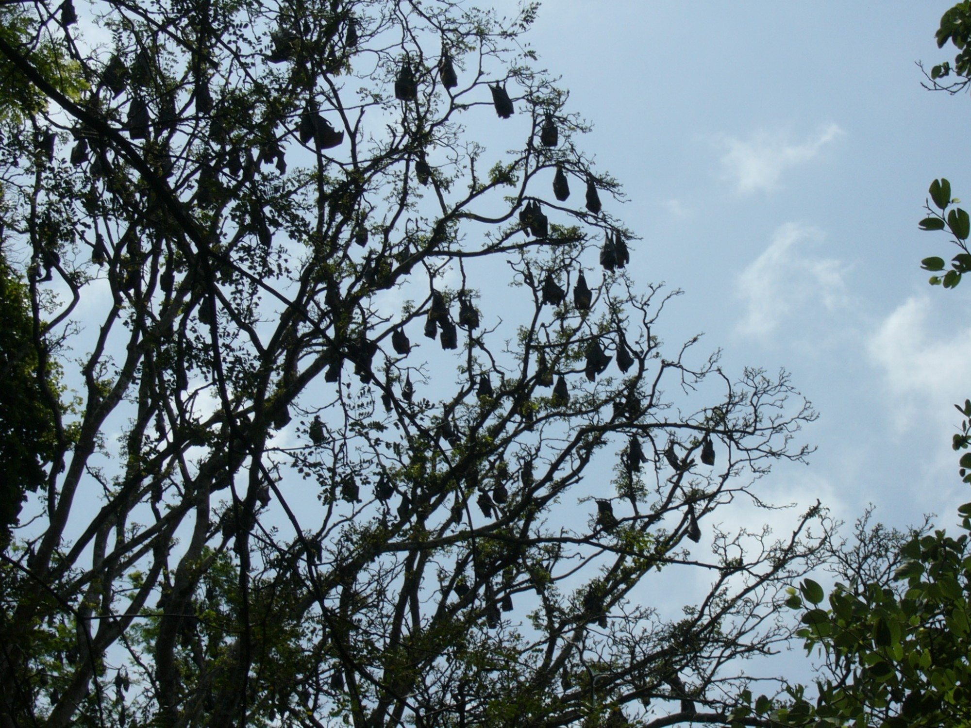 Sri Lanka