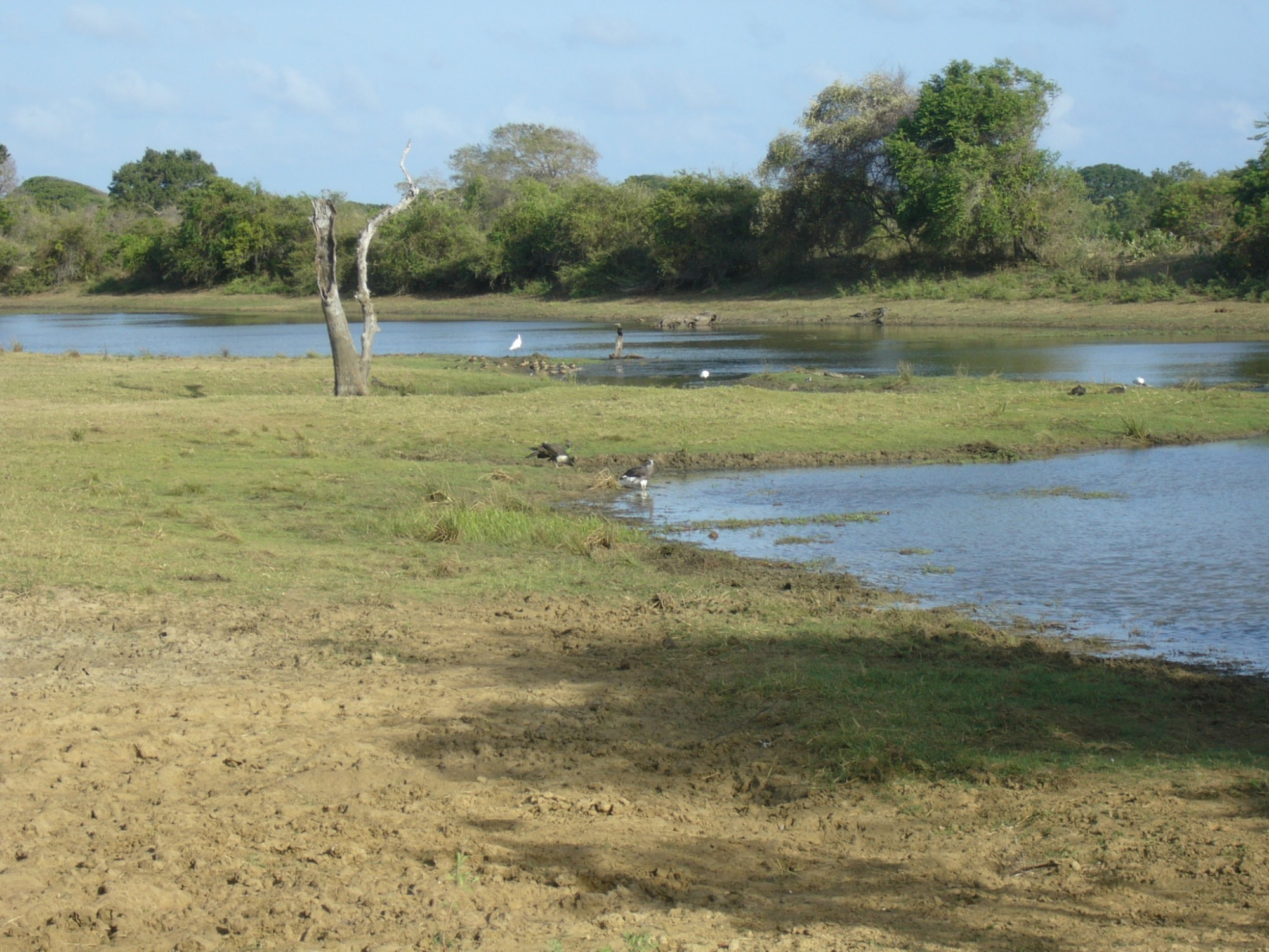 Sri Lanka