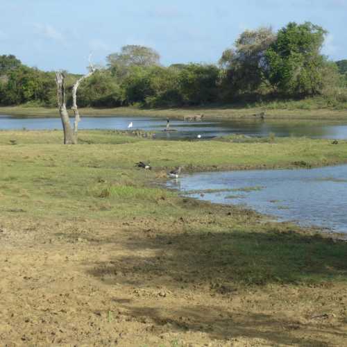 Sri Lanka