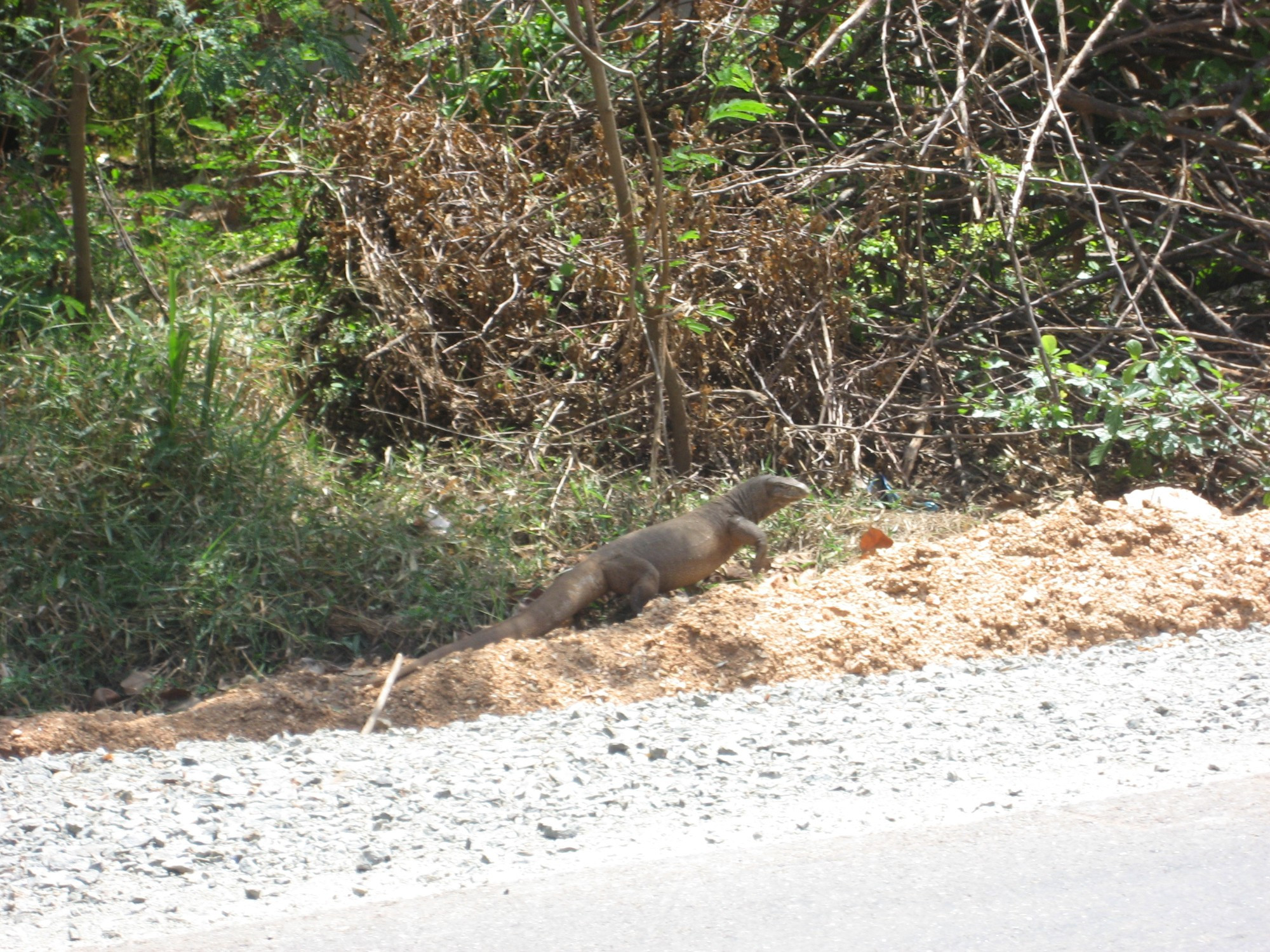 Sri Lanka