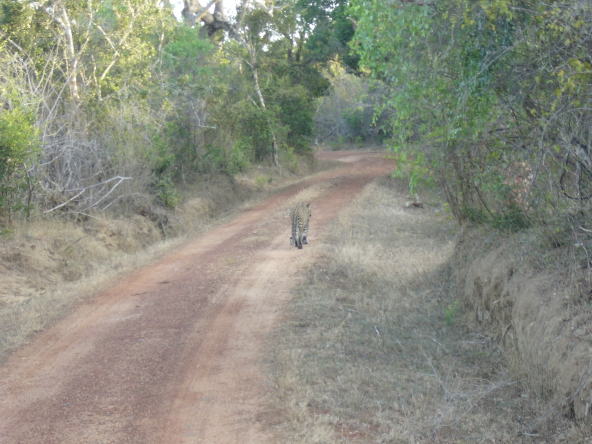 Sri Lanka