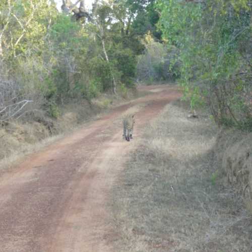 Sri Lanka