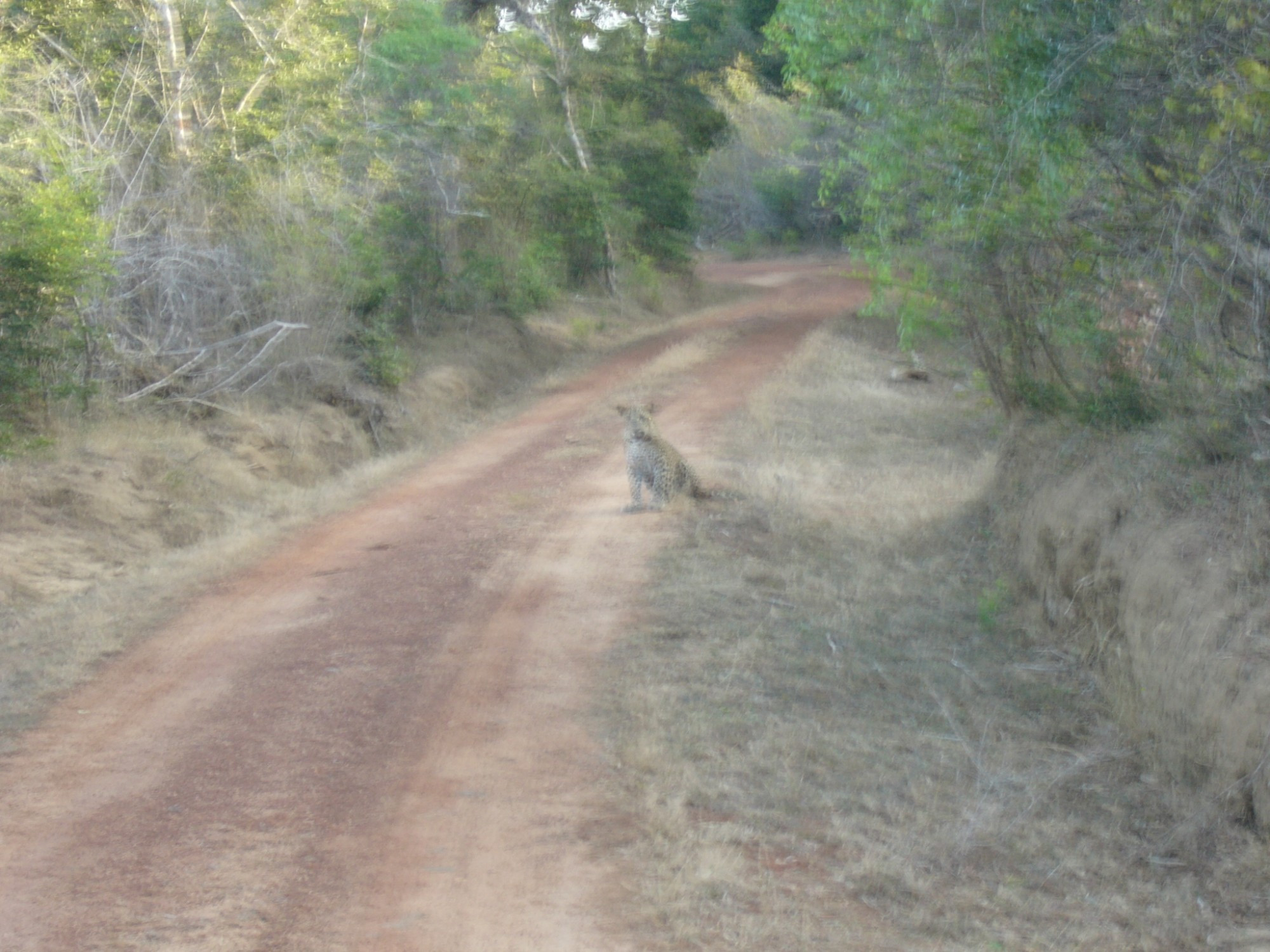 Sri Lanka