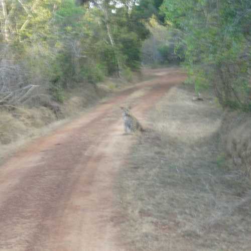 Sri Lanka