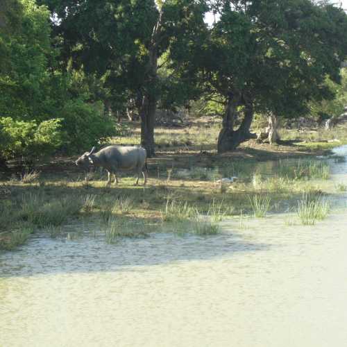 Sri Lanka