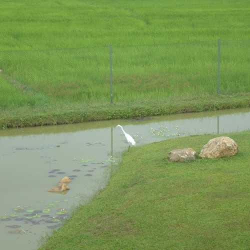 Sri Lanka