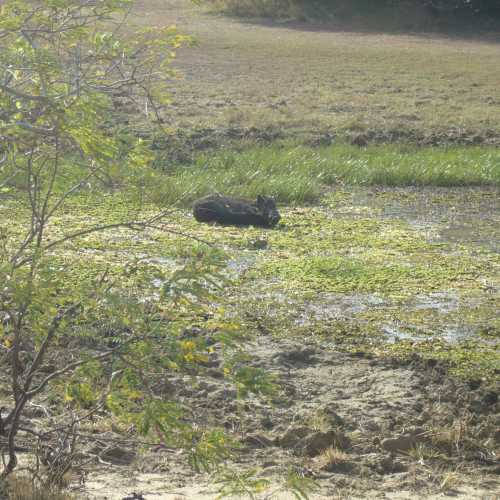 Sri Lanka