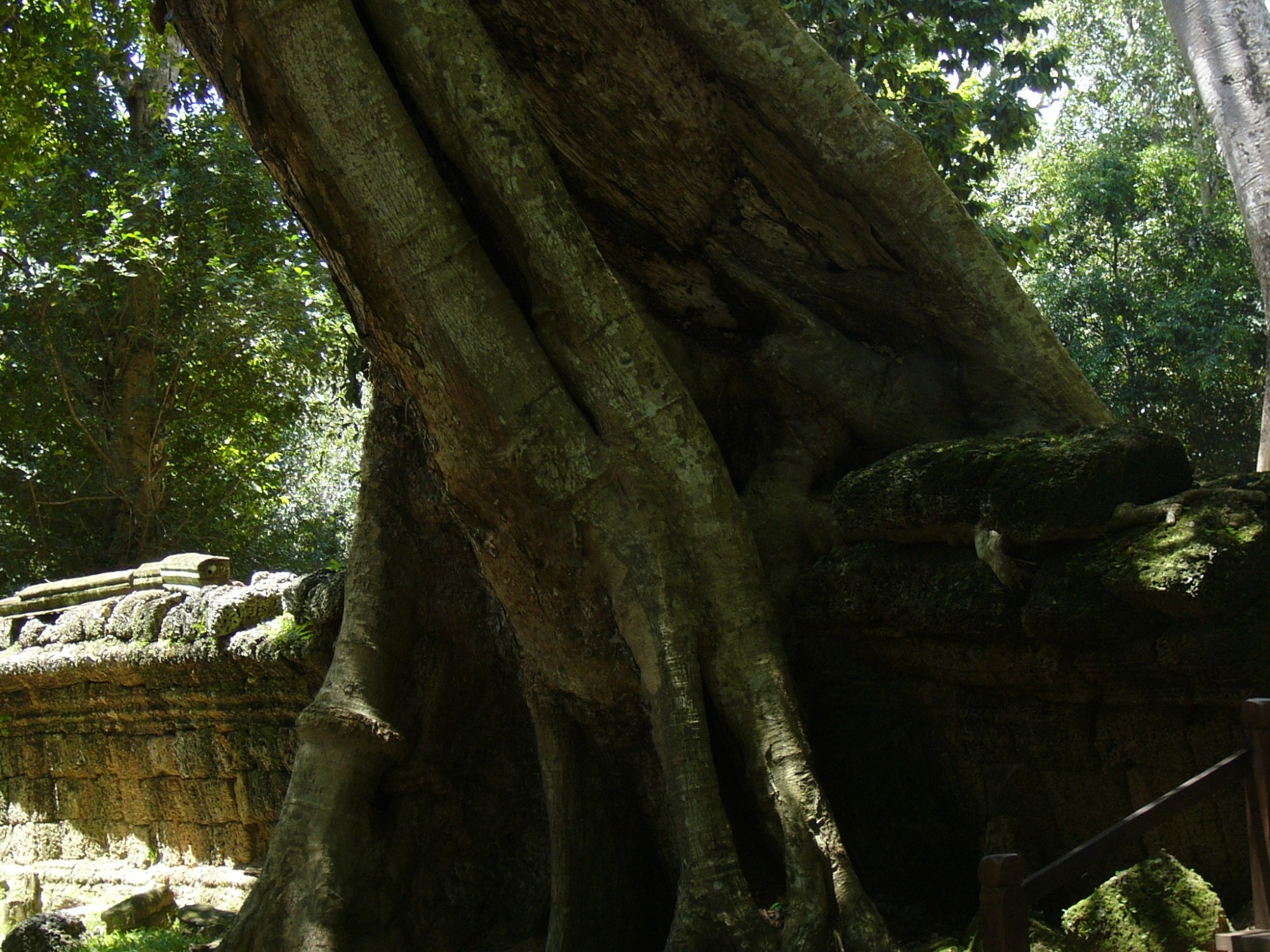 Cambodia