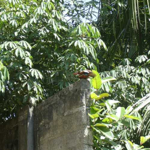 Sri Lanka