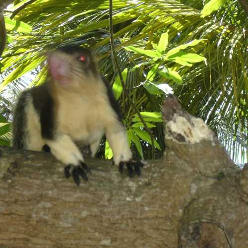 Sri Lanka