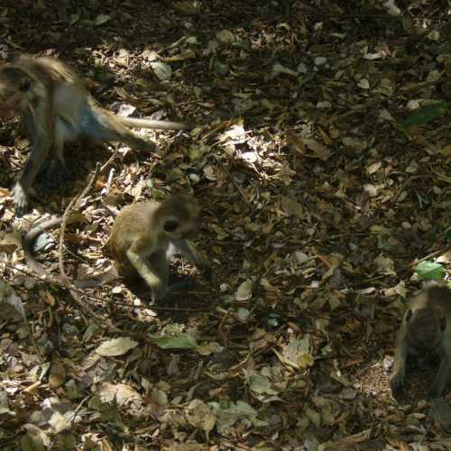 Sri Lanka