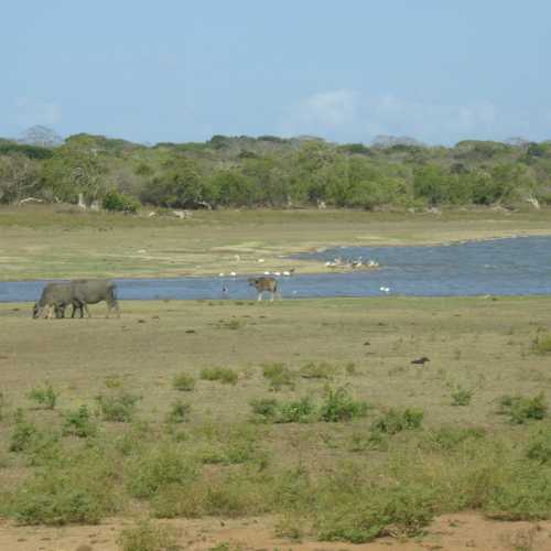 Sri Lanka