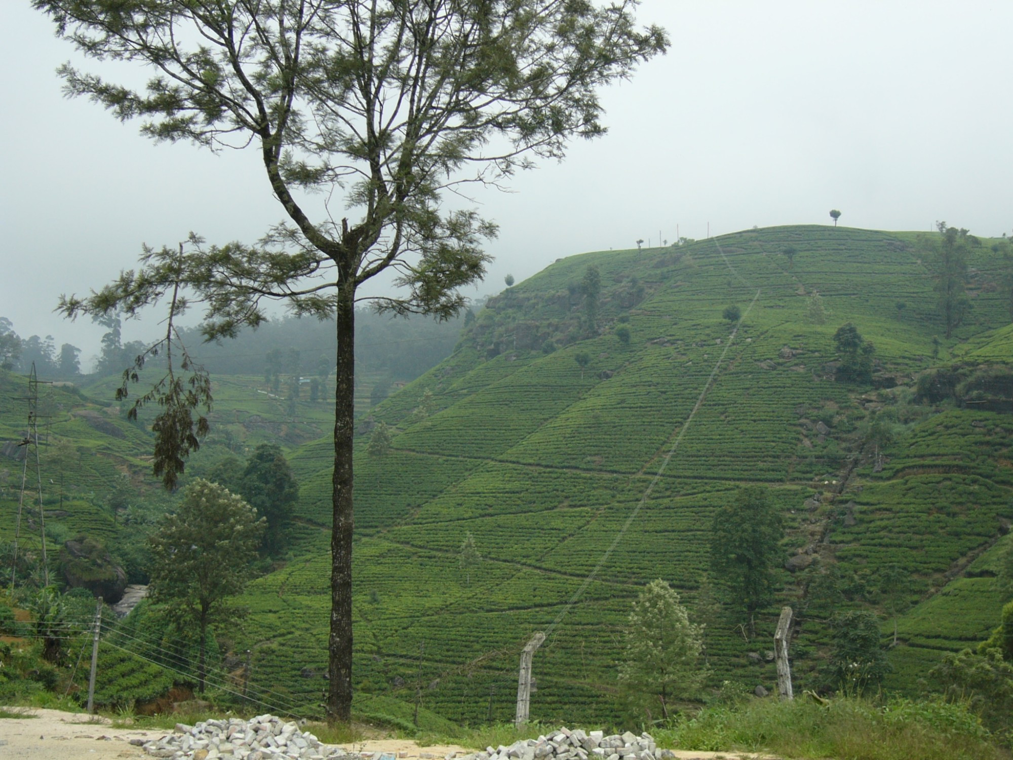 Sri Lanka