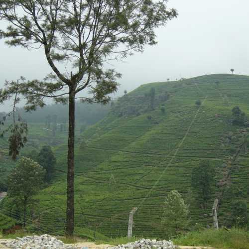 Sri Lanka