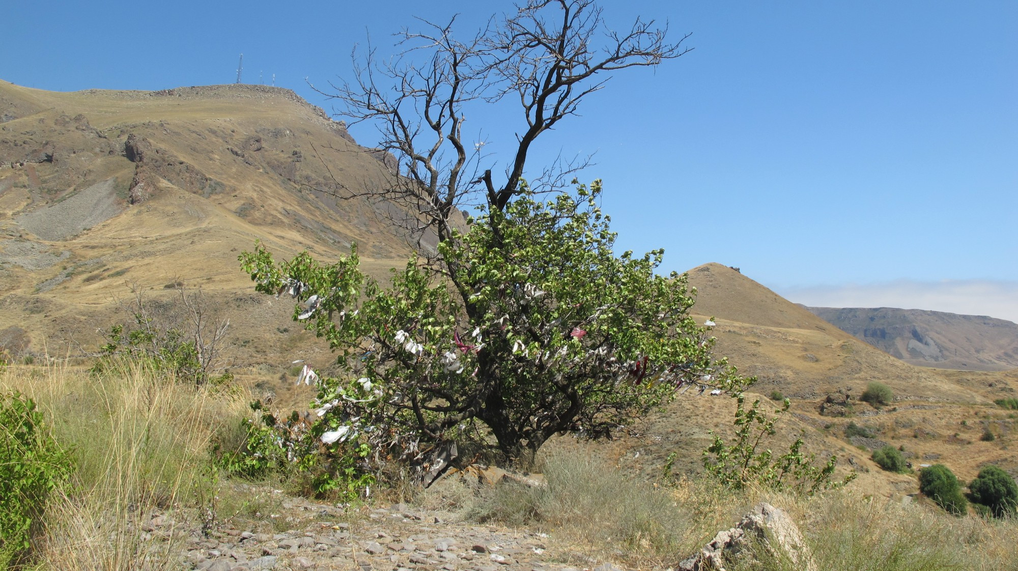 Armenia