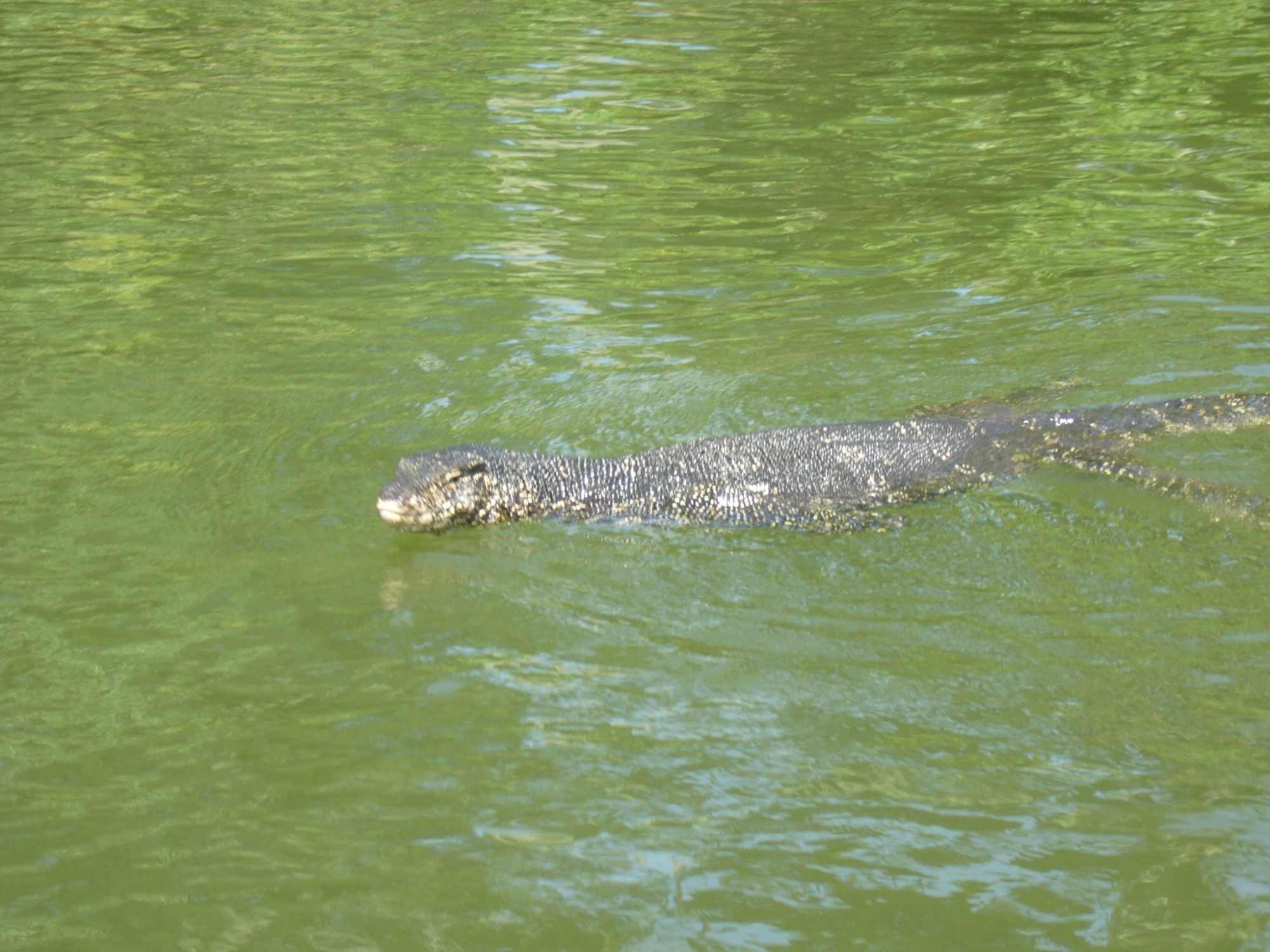 Sri Lanka