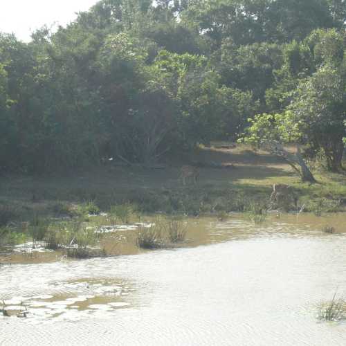 Sri Lanka