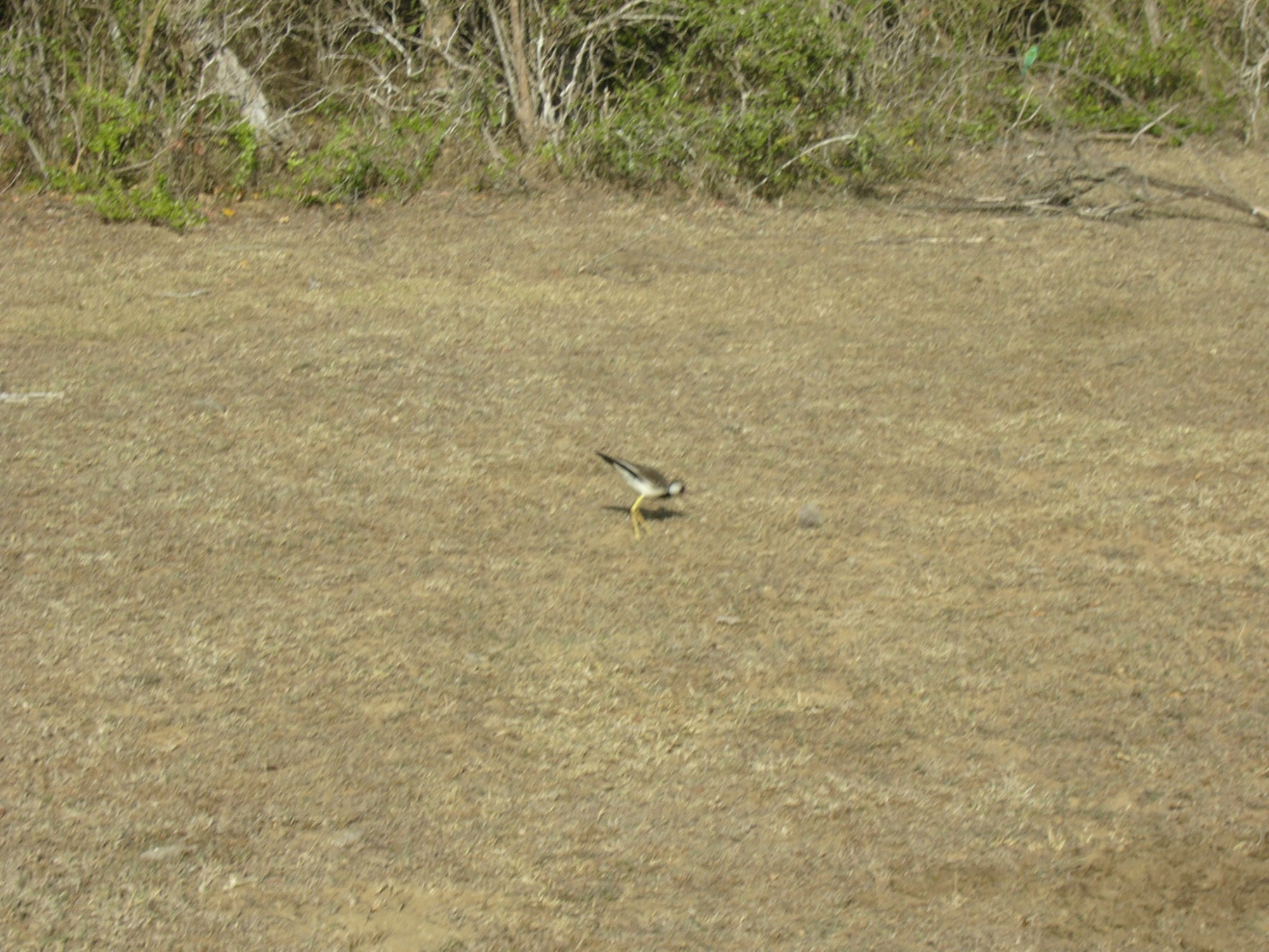 Sri Lanka