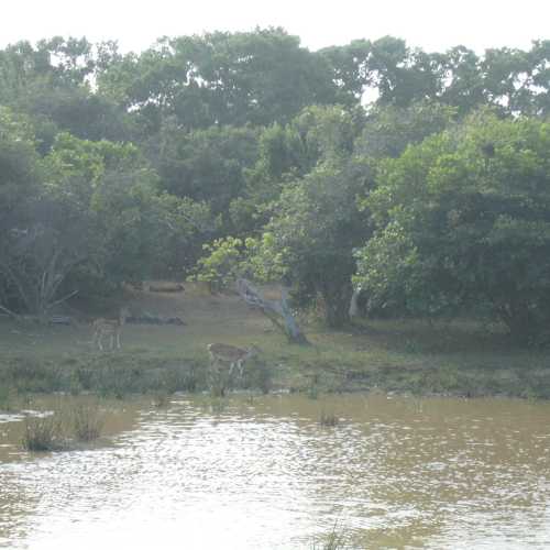 Sri Lanka