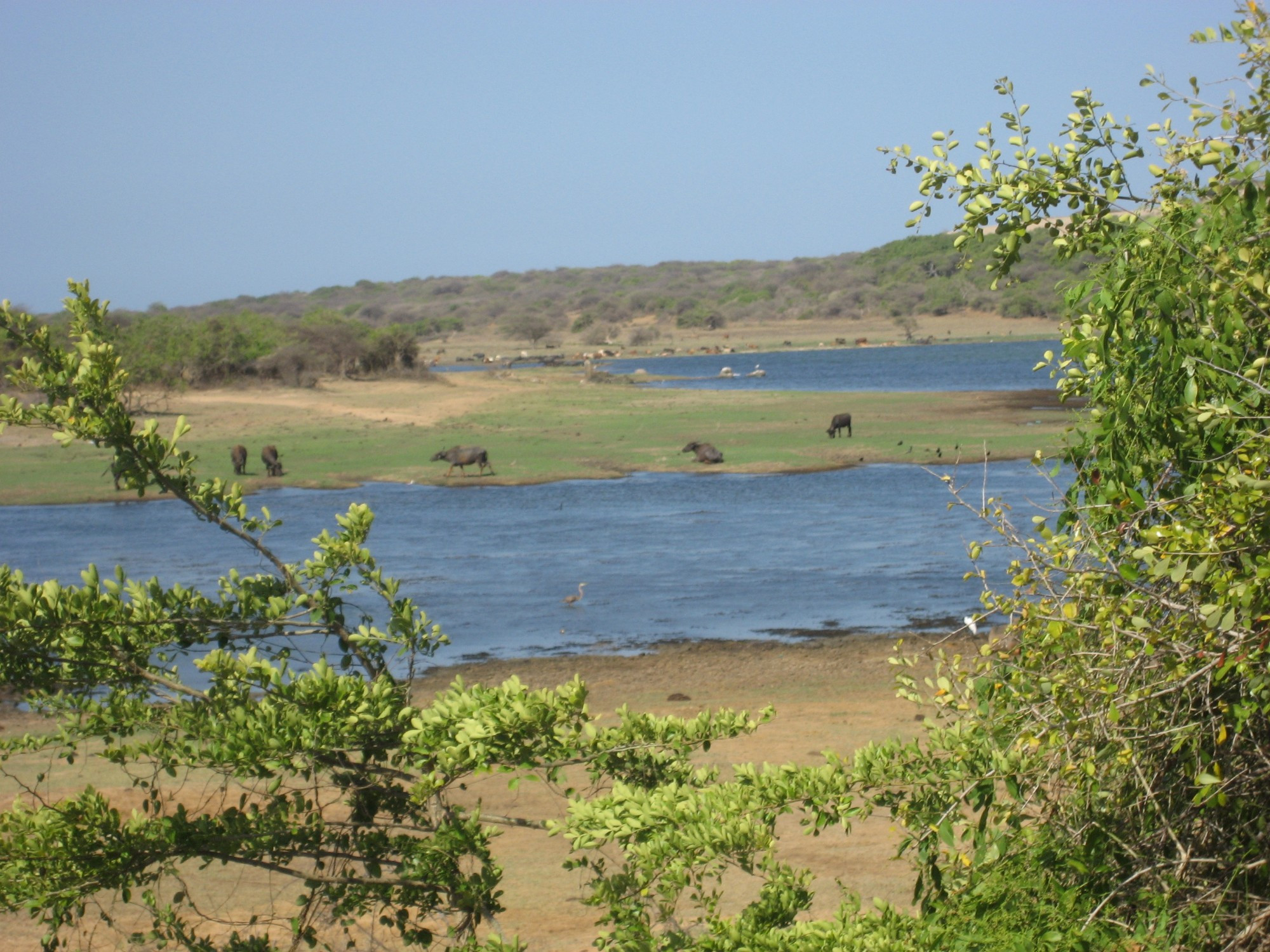 Sri Lanka