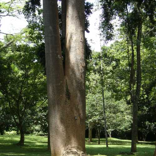 Sri Lanka