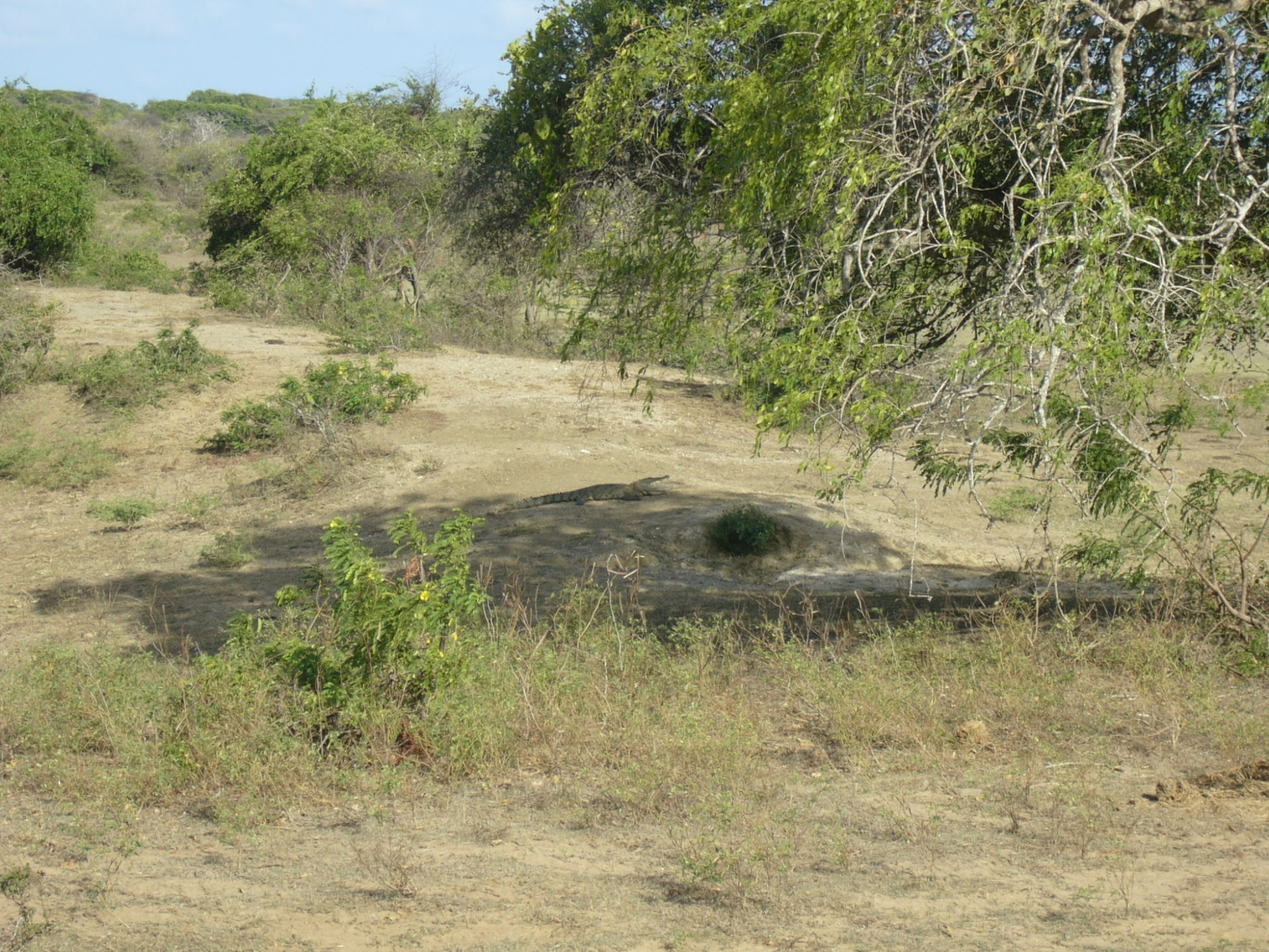 Sri Lanka