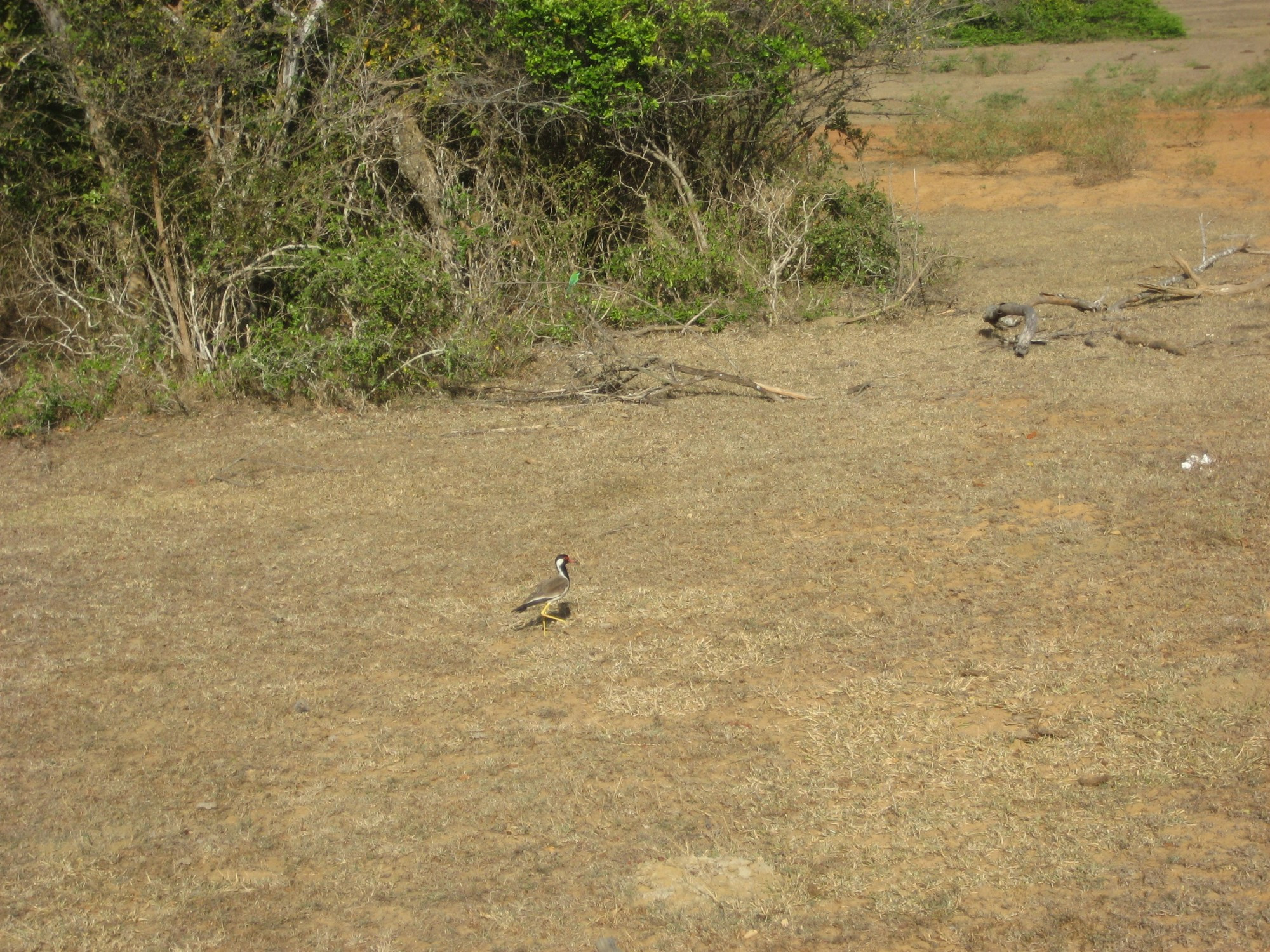 Sri Lanka