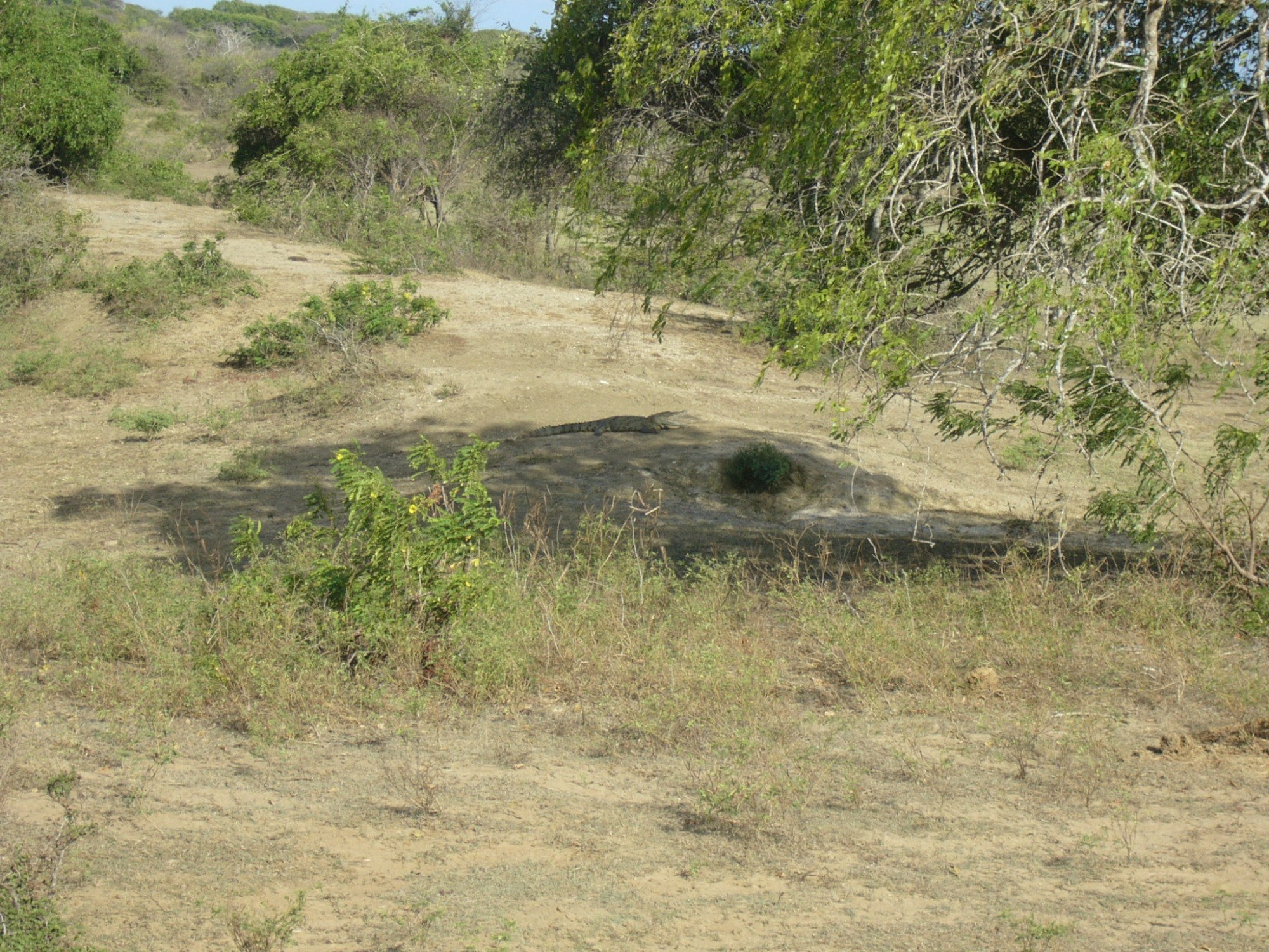 Sri Lanka