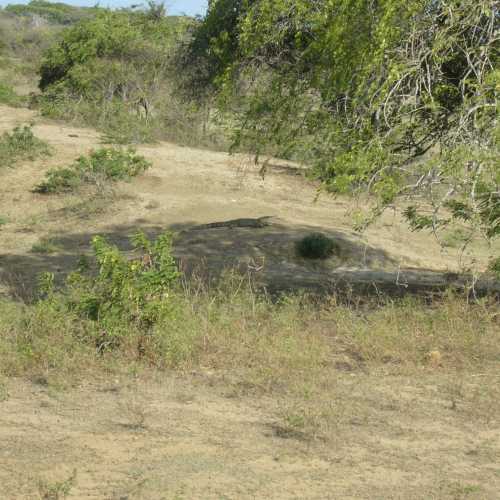 Sri Lanka