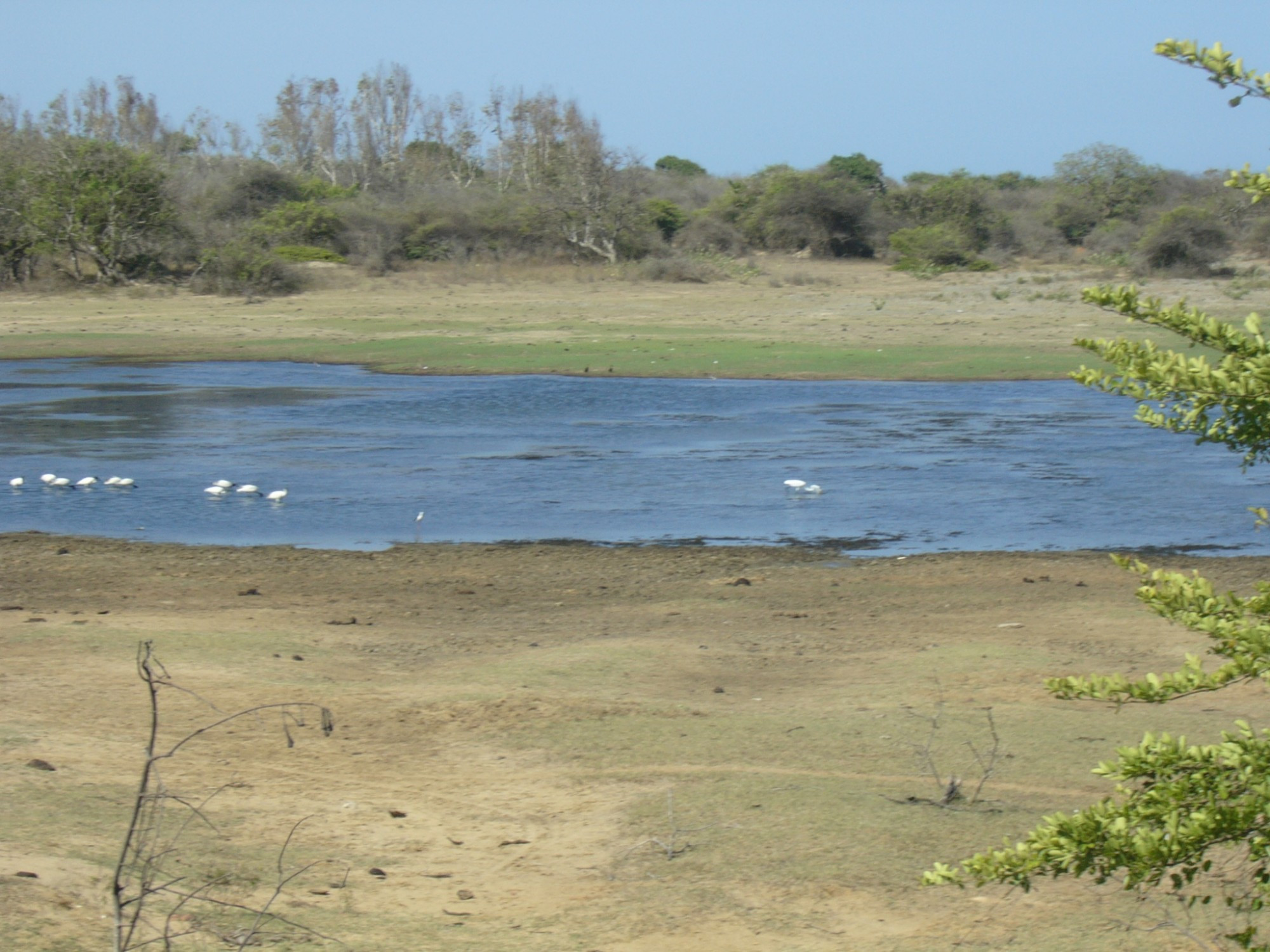 Sri Lanka