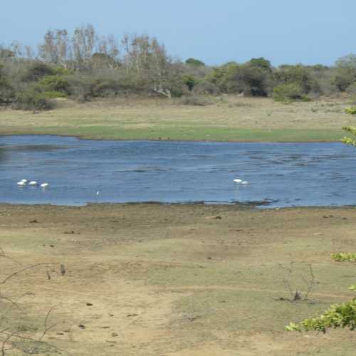 Sri Lanka