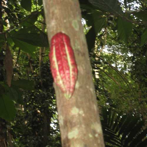 Sri Lanka