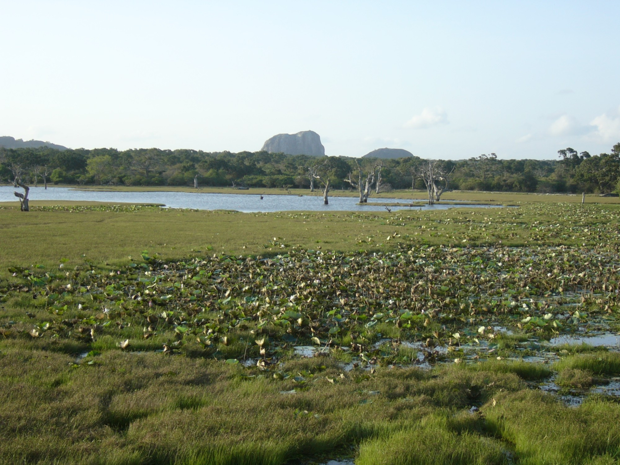 Sri Lanka