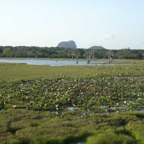 Sri Lanka