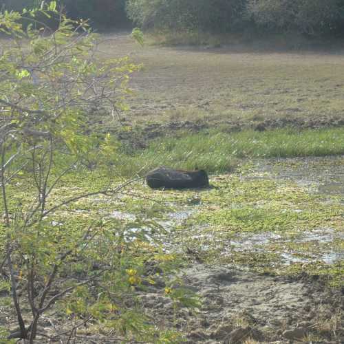 Sri Lanka