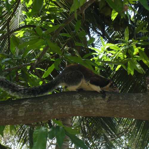 Sri Lanka