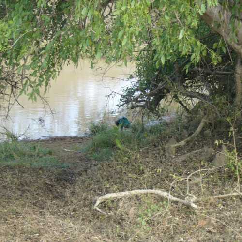 Sri Lanka