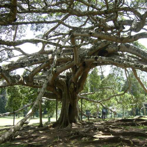 Sri Lanka