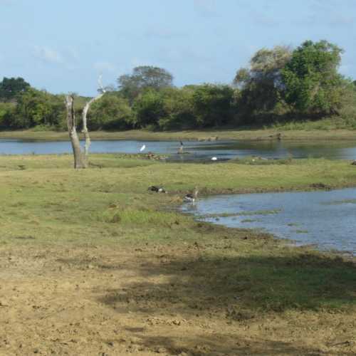 Sri Lanka