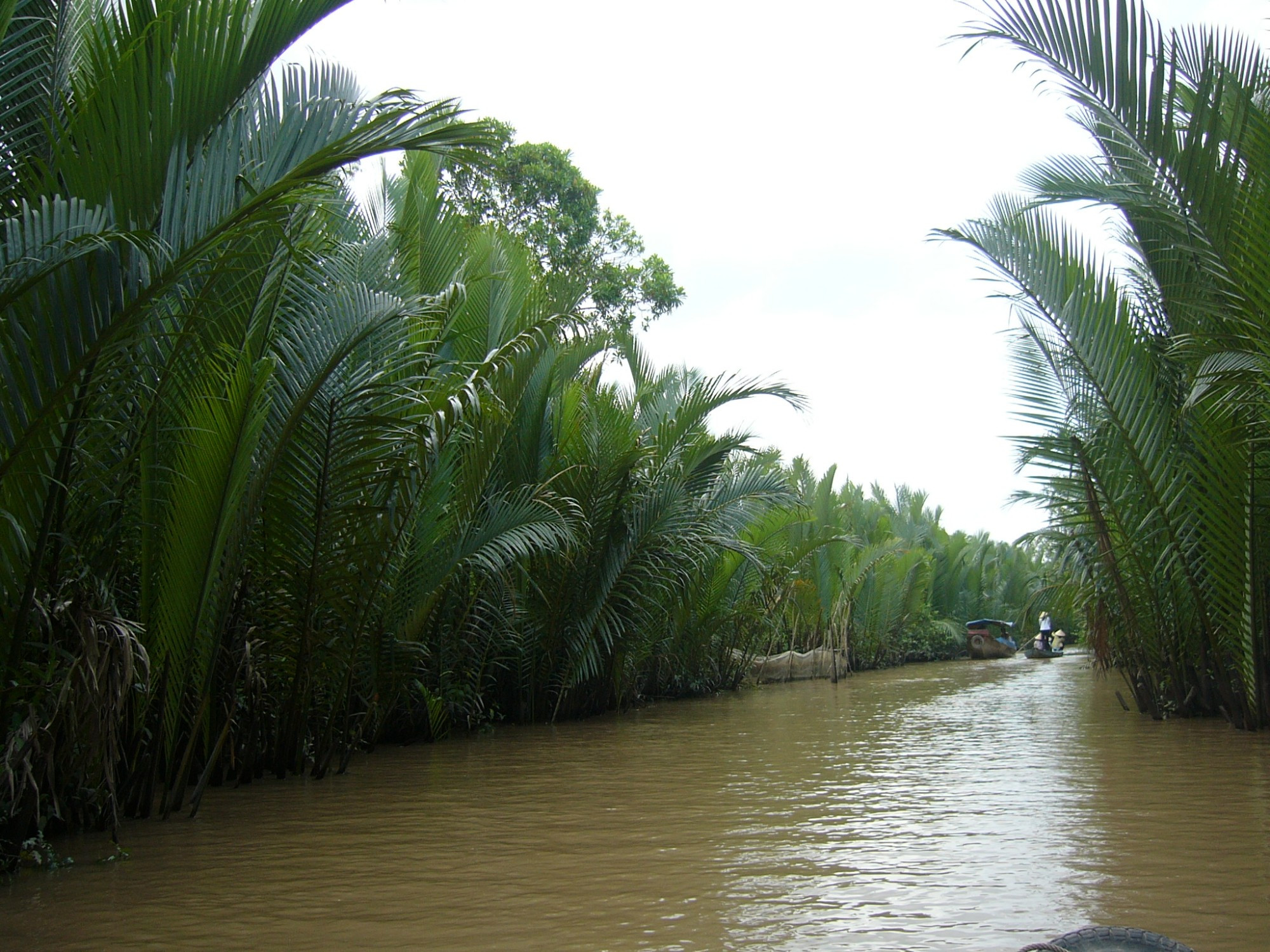 Vietnam