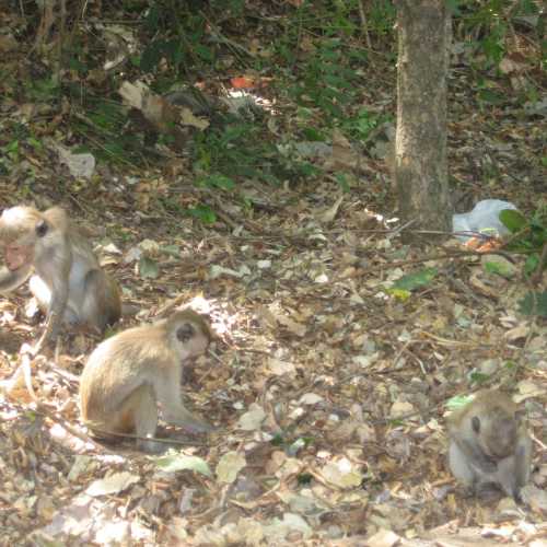 Sri Lanka