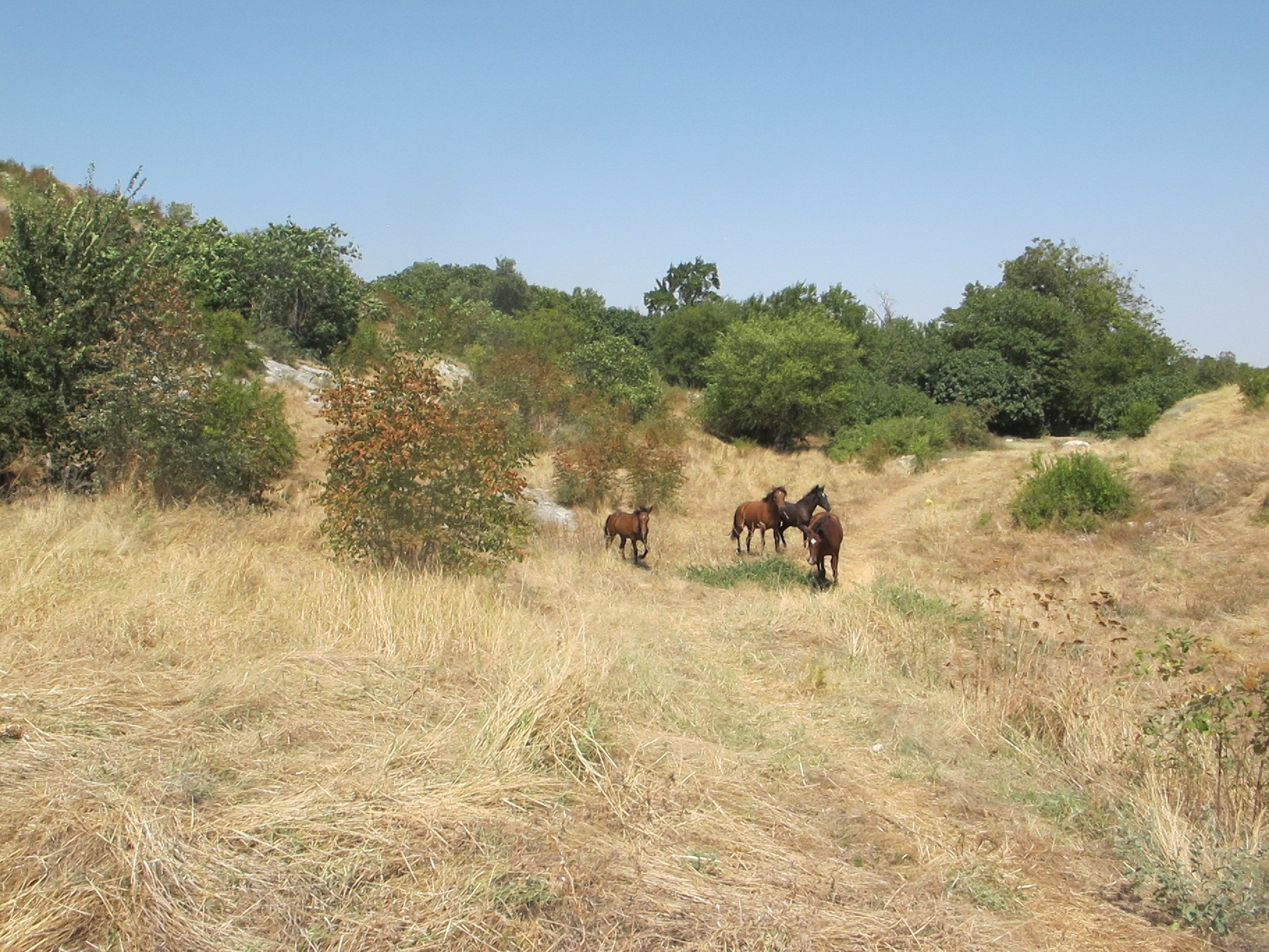 Nagorno-Karabakh