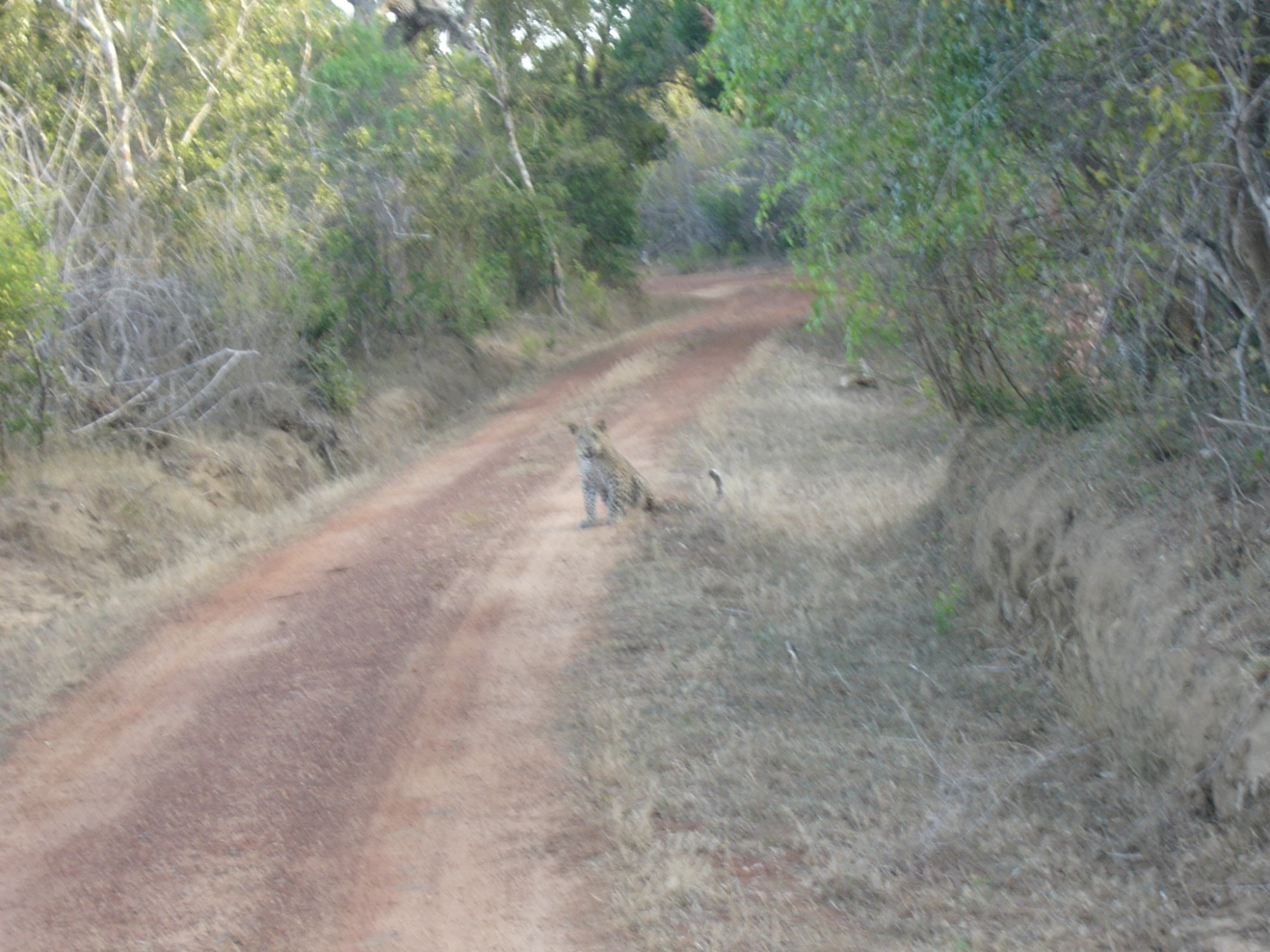 Sri Lanka