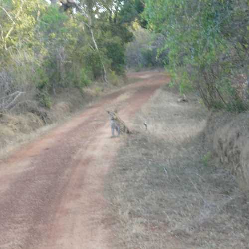 Sri Lanka