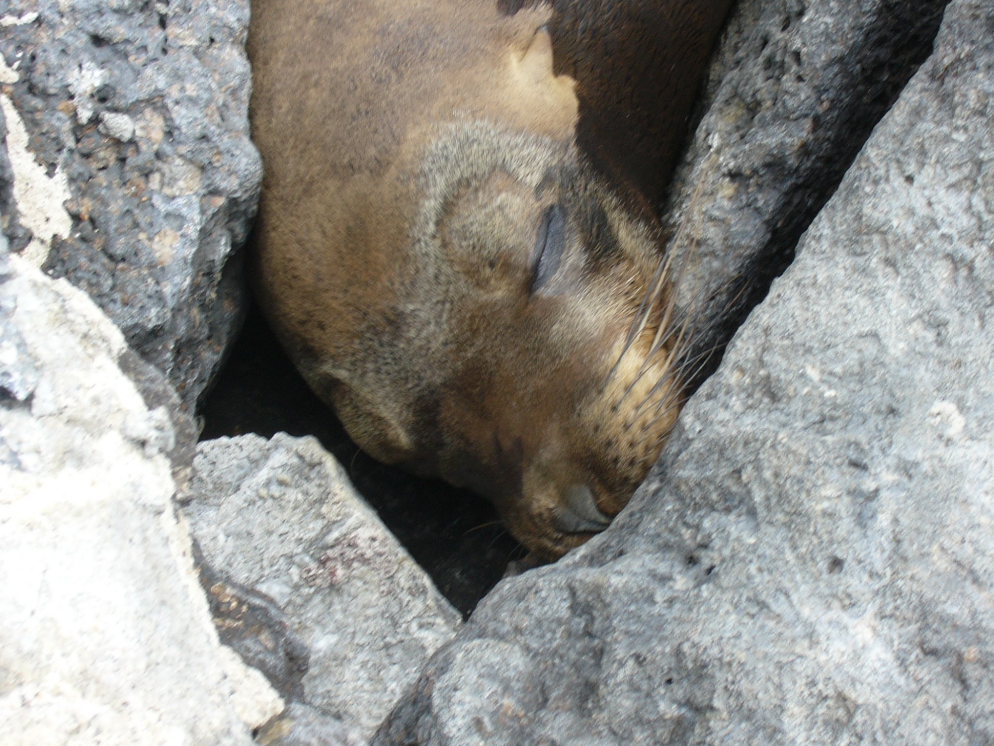 Ecuador