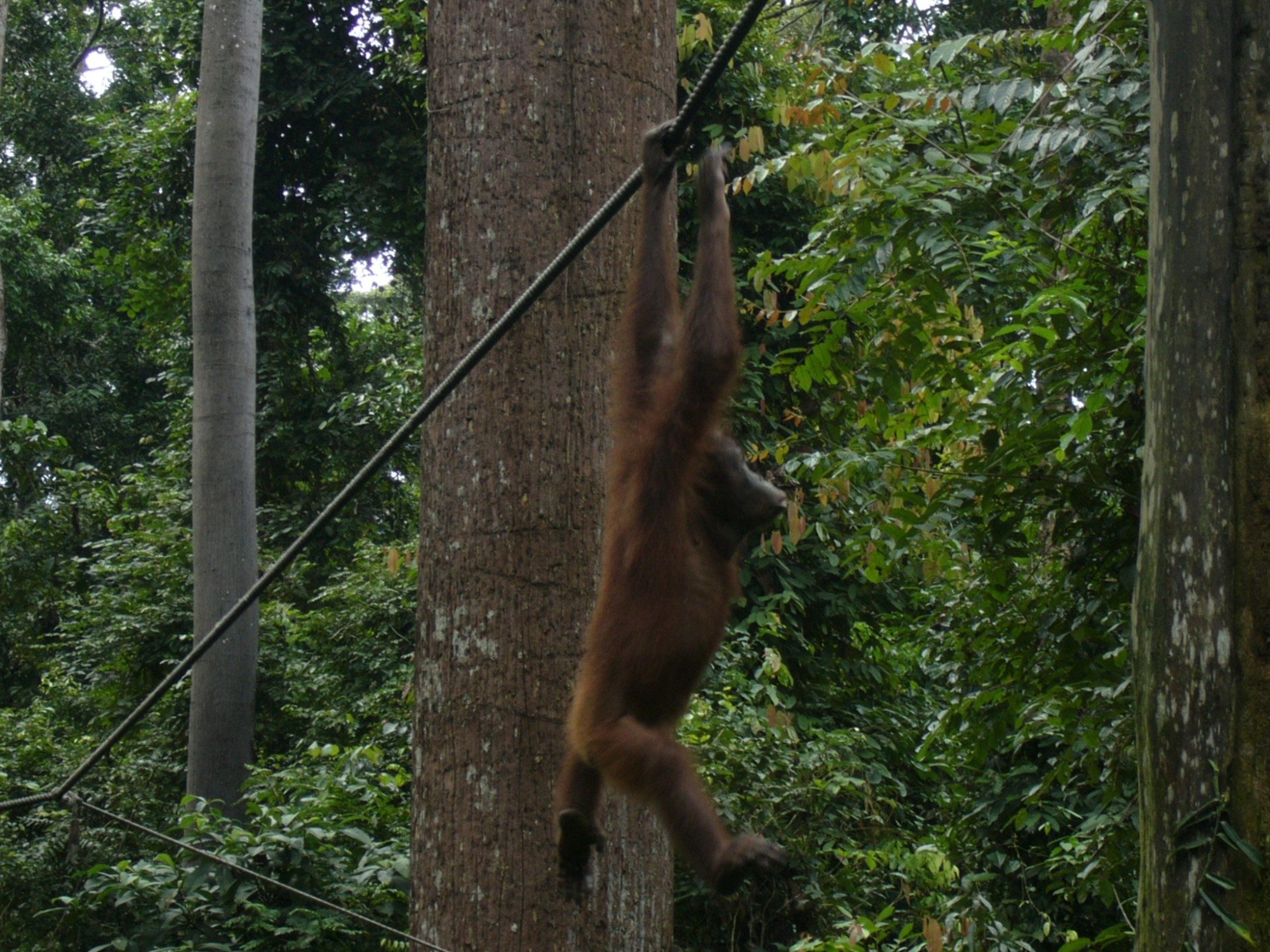 Malaysia