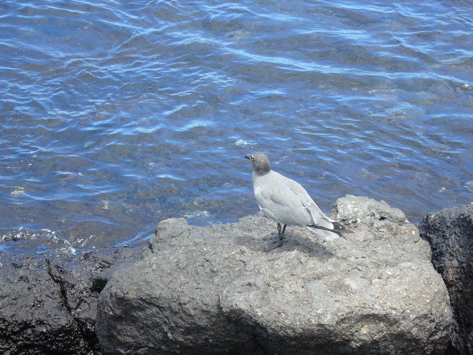 Ecuador